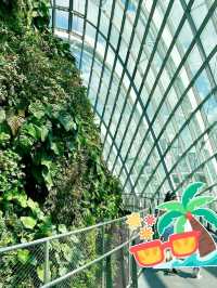 🌴 Lion City Sparkle: Discovering Singapore! 