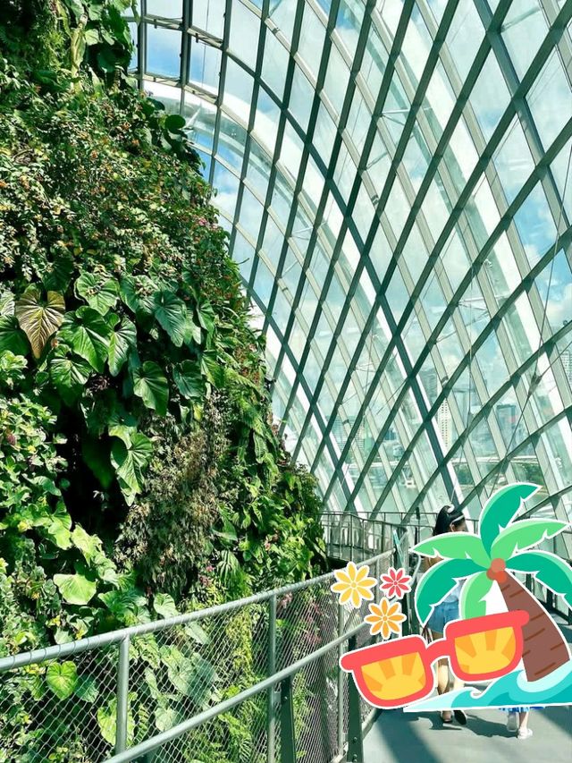 🌴 Lion City Sparkle: Discovering Singapore! 