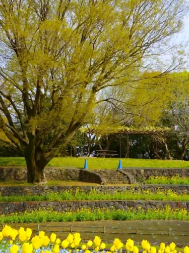鶴見緑地公園 – 大阪の隠れた庭園ワンダーランド