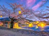 Evening Illumination of Kintaikyo Bridge