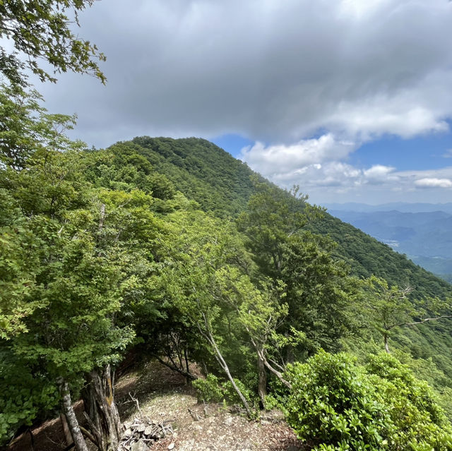🌰【栗の木岳】 まつさかイレブン