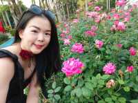 Xiangmi Park 香蜜公園