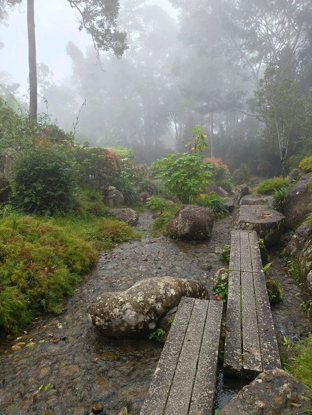 A Peaceful Walk in the Clouds: Japanese Village at Colmar