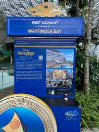 "Enchanted Voyages: A Magical Disney Cruise Adventure"
