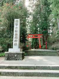 【神奈川⛩️箱根】必ず訪れたいパワースポット🐉龍神様