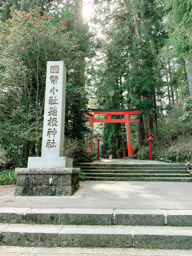 【神奈川⛩️箱根】必ず訪れたいパワースポット🐉龍神様
