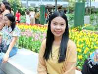  Miracle of Natural สวนทิวลิป ระยอง