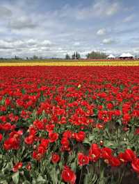 Natural beauty of Oregon