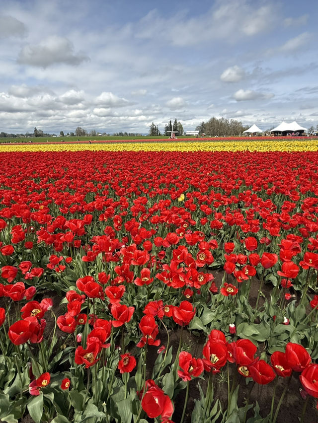 Natural beauty of Oregon