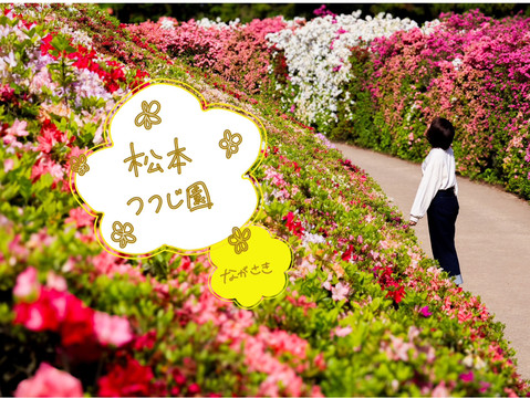 Matsumoto Azalea Garden, Nagasaki | A spectacular view that can
