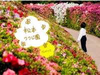 長崎 松本つつじ園｜春だけの絶景、ここにあり！