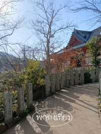 Fukuoka เที่ยววัดนันโซอิน (Nanzoin Temple)