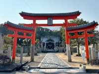 🇯🇵【香川県】境内には樹齢500年のクスノキ！白峰宮⛩️