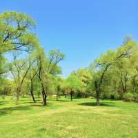 鶴洞公園•城市綠色秘境