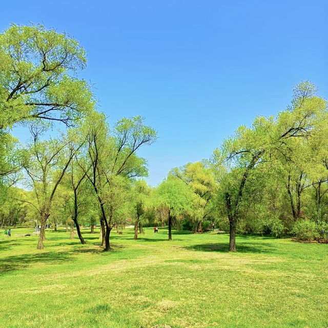鶴洞公園•城市綠色秘境