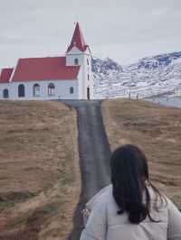 Seals, Soup & Snæfellsnes Wonders – A Magical Day 8 in Iceland!🇮🇸