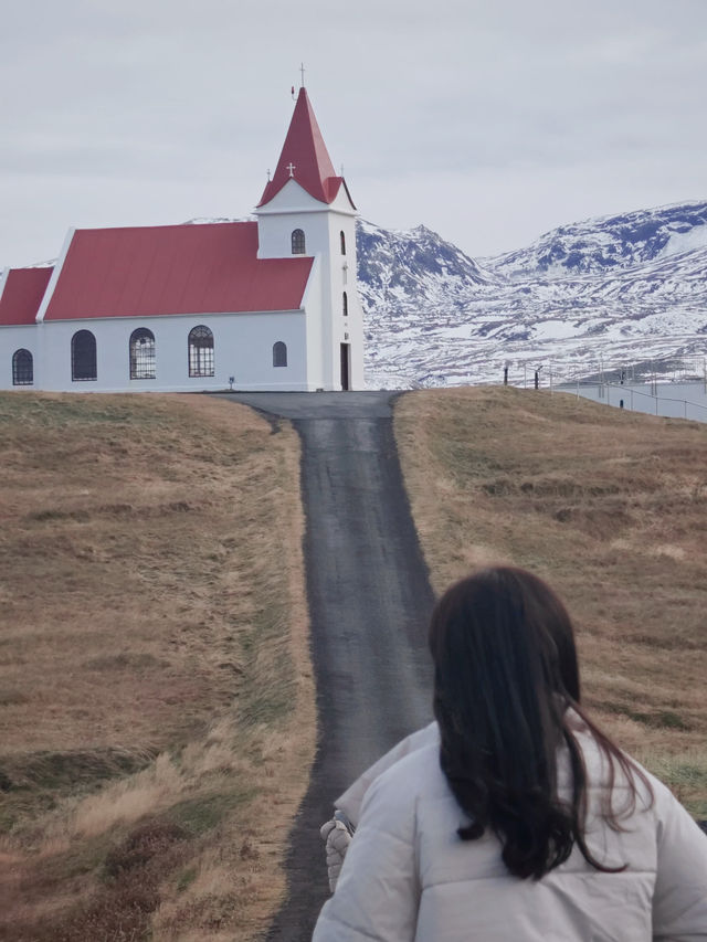 Seals, Soup & Snæfellsnes Wonders – A Magical Day 8 in Iceland!🇮🇸