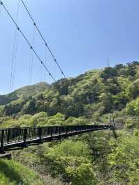 【足利&鬼怒川】自然を楽しむリトリート旅
