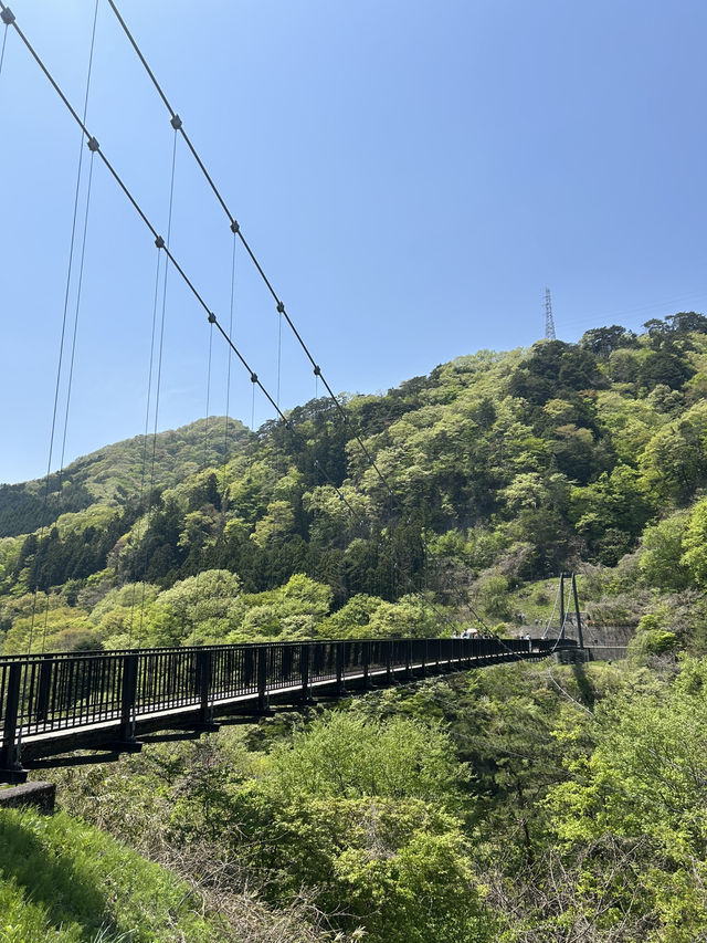 【足利&鬼怒川】自然を楽しむリトリート旅