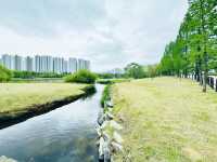 Where Nature Nurtures