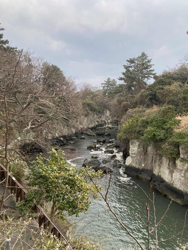 Yongyeon Pond เกาะเชจู