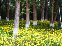Haidong Wetland Park 