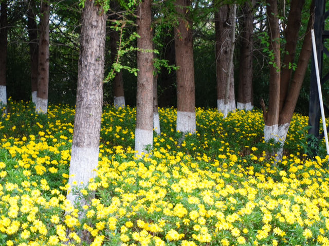 Haidong Wetland Park 