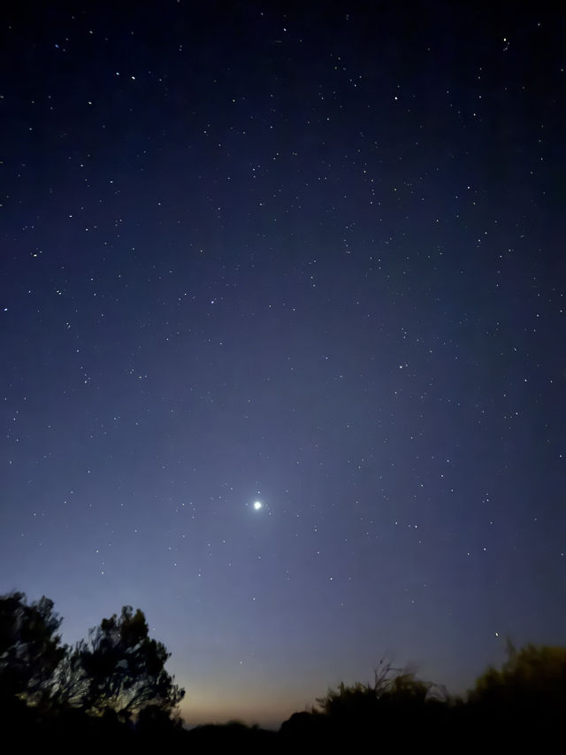 澳洲尖峰石陣：地球上的外星奇景！🌌🪨**  