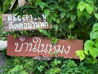 บ้านในหมง treehouse ระนอง