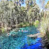 Nature’s Spa Day – Mataranka Thermal Pools