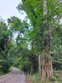 เขตรักษาพันธุ์สัตว์ป่าภูเขียว