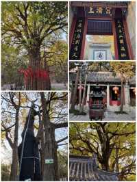 嶗山仰口&太清景區看天海一色