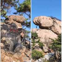 嶗山仰口&太清景區看天海一色