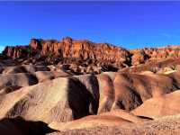 Death Valley Wildflowers – Death Valley, CA