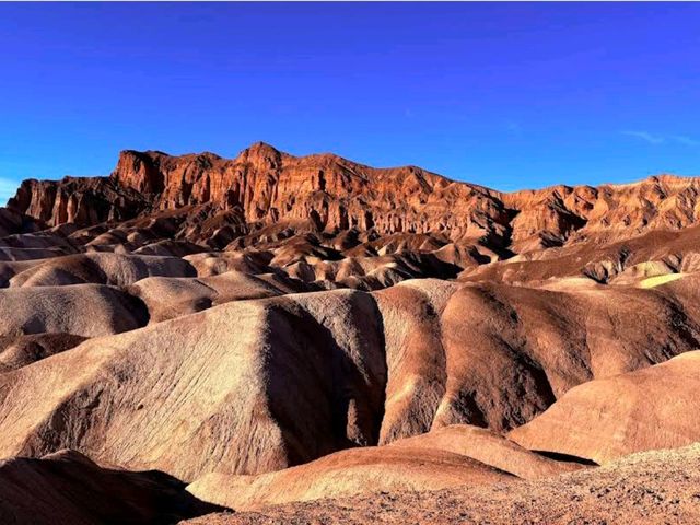 Death Valley Wildflowers – Death Valley, CA