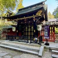 絶対に行って欲しい仙台3日間の旅行体験！