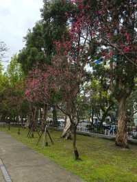 A Quiet Walk Through Culture in Taipei
