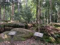 อุทยานแห่งชาติภูหินร่องกล้า
