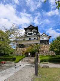 A Hidden Gem with Serious Charm
