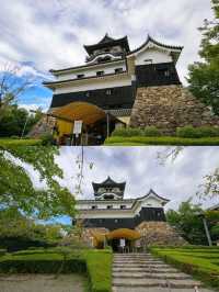 A Hidden Gem with Serious Charm