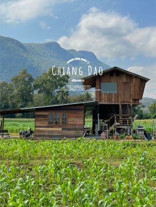 ที่พักวิวดอยหลวงเชียงดาว จ.เชียงใหม่ 🏡⛰️🌤️🐶