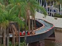 歡樂的 POPA 王國🎠、魔法森林✨、冒險天堂🎢一次玩到瘋！
