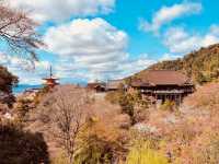 Discovering the Soul of Kyoto: A Journey Through Time and Tradition