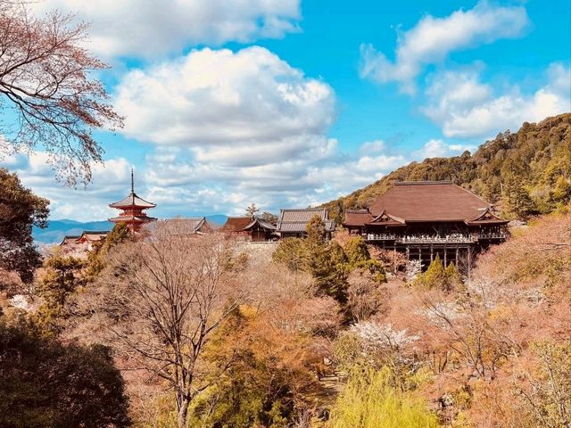Discovering the Soul of Kyoto: A Journey Through Time and Tradition