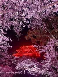 Exploring Fukuoka: Japan’s Coastal Gem Full of Flavor and Culture