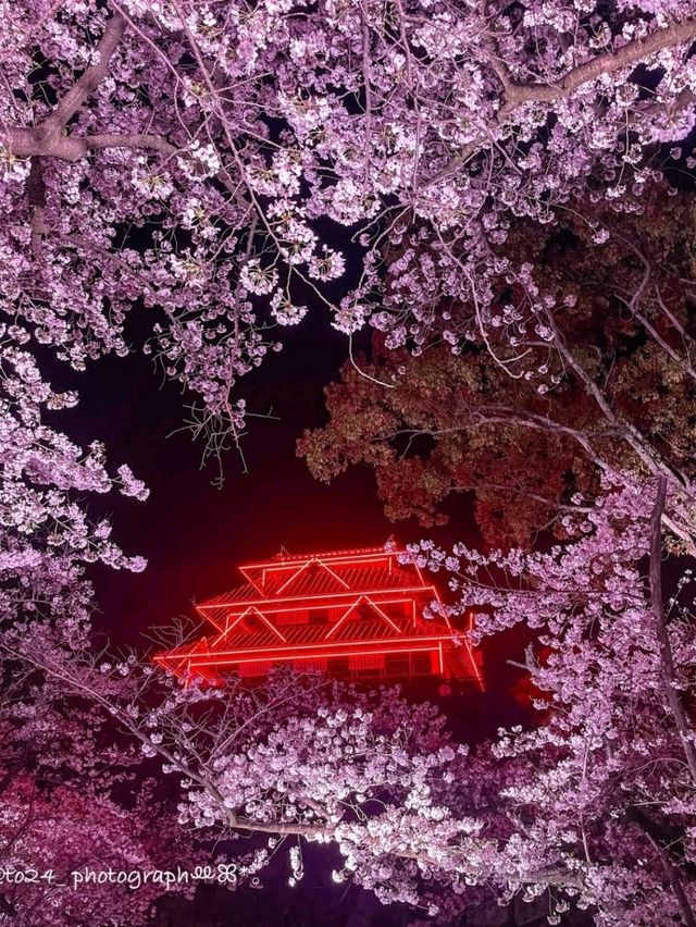 Exploring Fukuoka: Japan’s Coastal Gem Full of Flavor and Culture