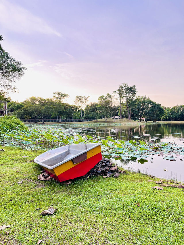 Tranquil Escape at Taman Tasik Cyberjaya