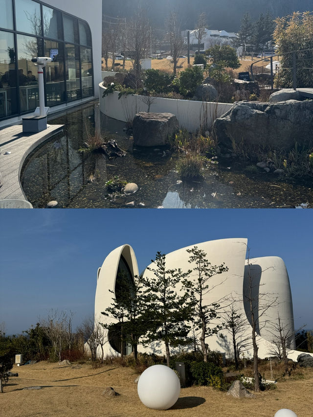 울릉도 삼선암 완벽 가이드 – 바다 위에 떠 있는 세 개의 신비로운 바위