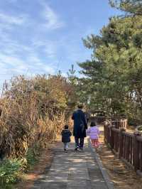 韓國濟州🍊｜開車幾7分鐘就能遠離塵囂 來「正房瀑布」走走吧⛰️