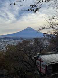 東京｜交通攻略｜新倉山淺間公園｜富士山經典打卡路線